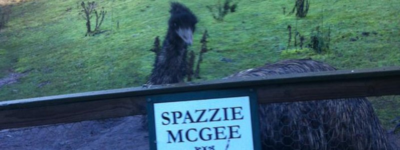 Emu Spazzie McGhee