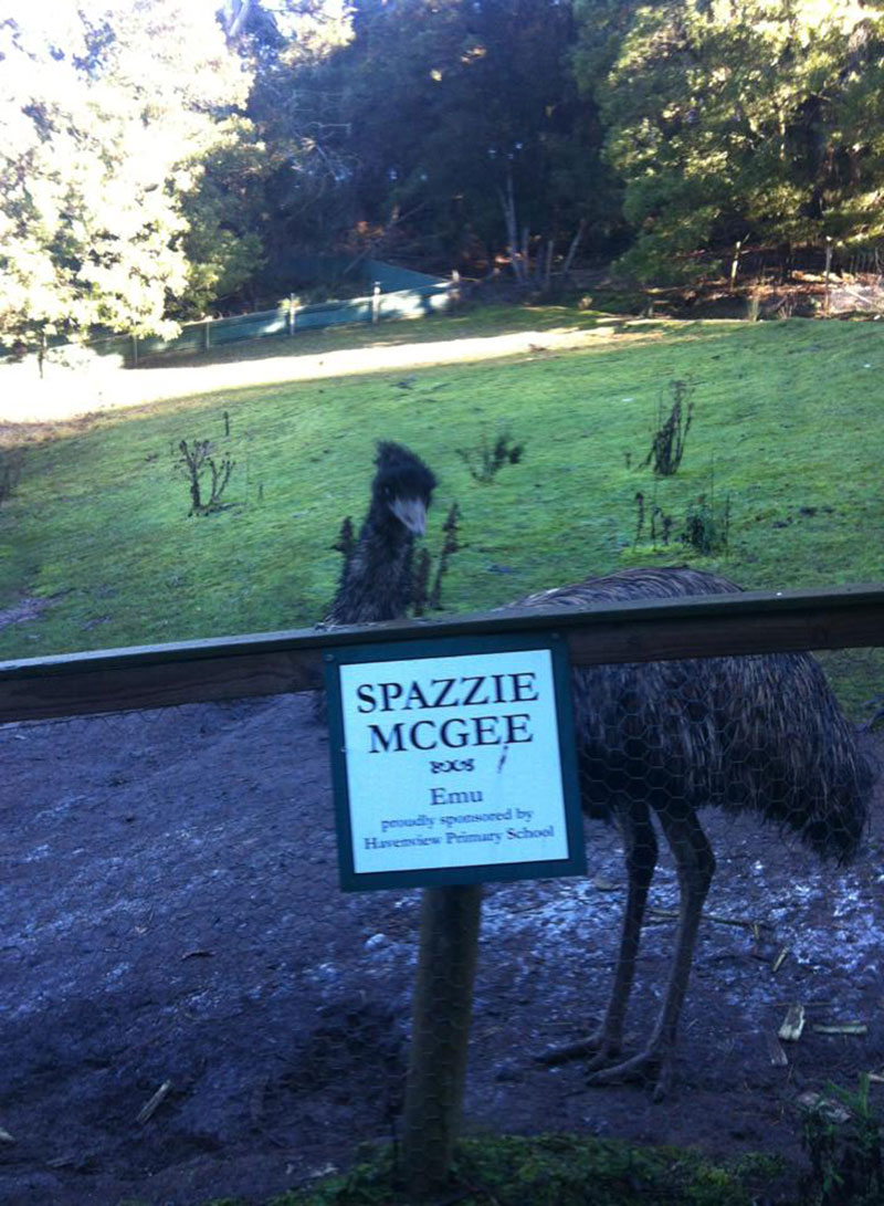 Emu Spazzie McGhee